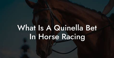 what is a quinella|quinella bet in horse racing.